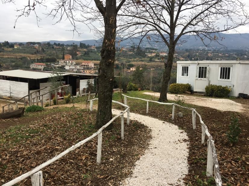 Il centro — Emozioni Equestri, fotografia 37