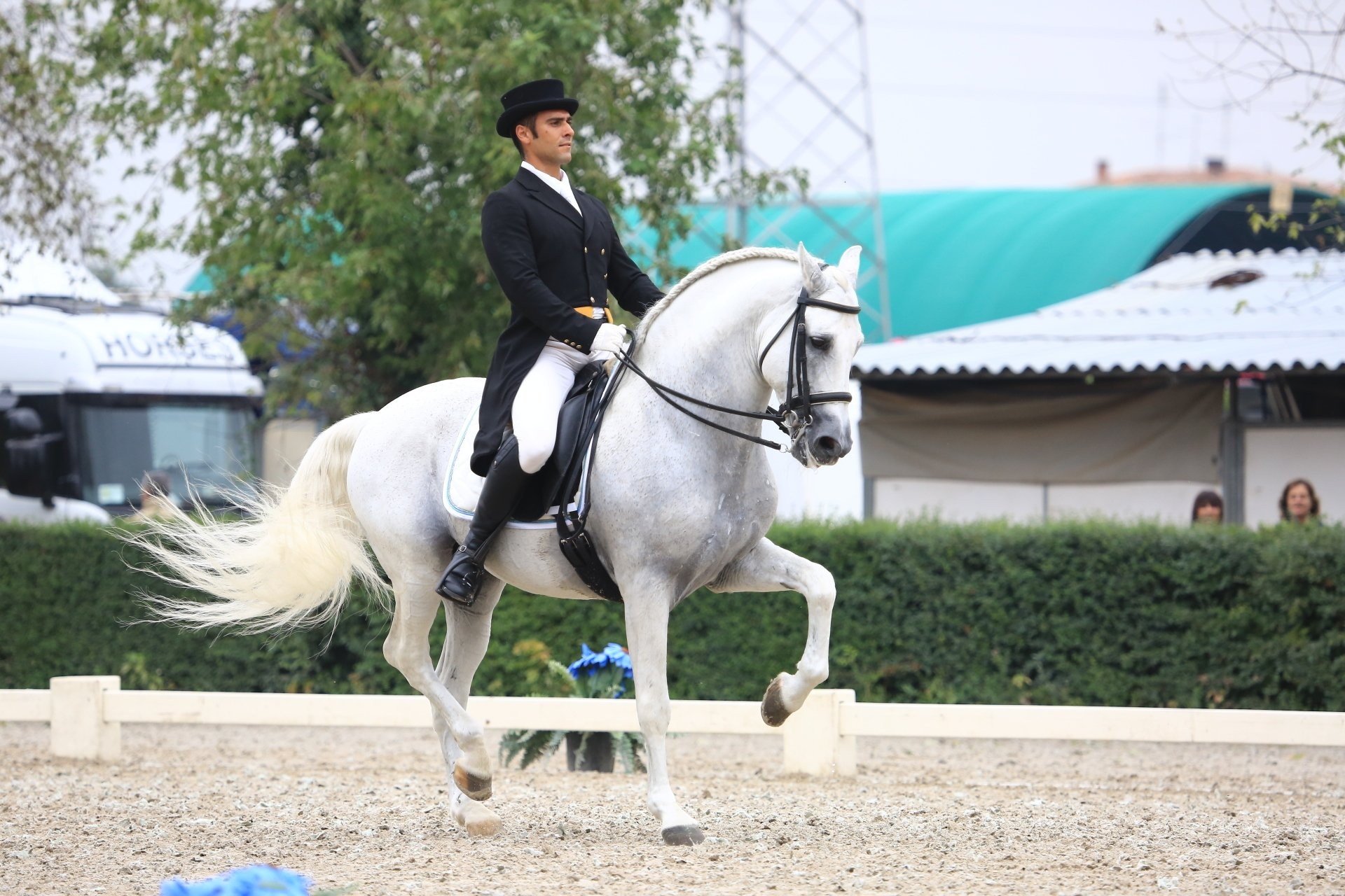 Il lavoro di Alta Scuola con il cavallo a Emozioni Equestri