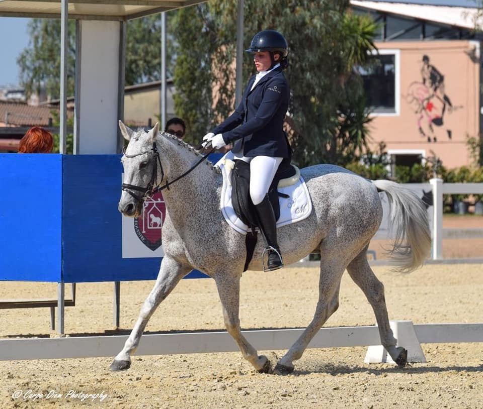 Dressage — Emozioni Equestri, fotografia 58