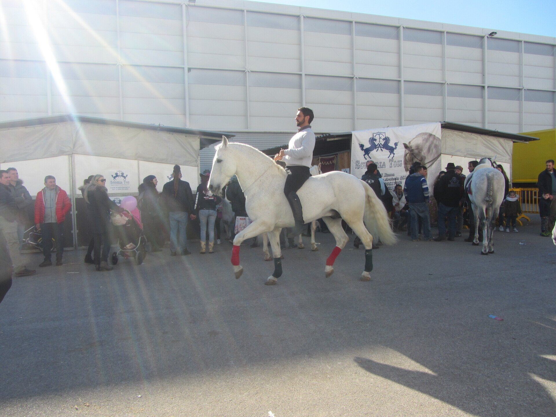 Spettacoli — Emozioni Equestri, fotografia 18