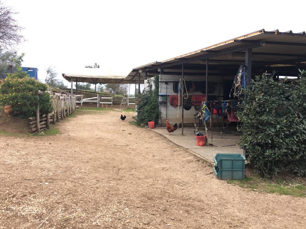 Il centro — Emozioni Equestri, fotografia 55