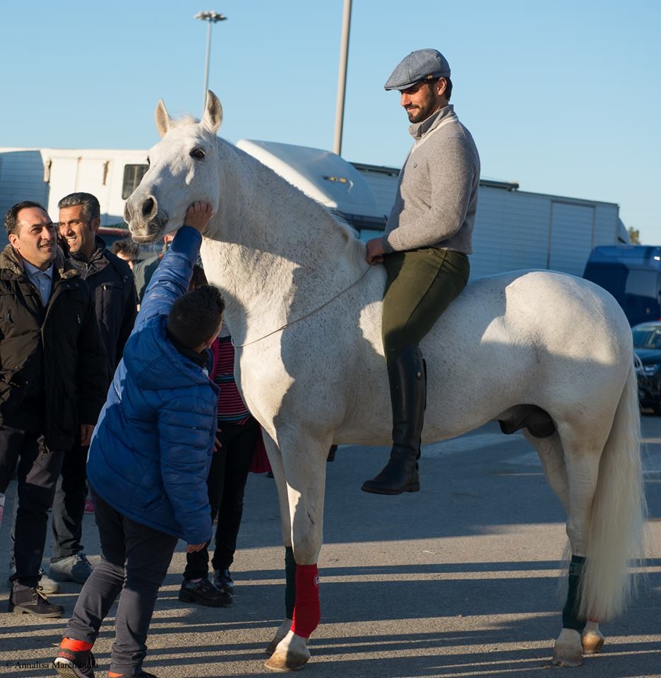 Spettacoli — Emozioni Equestri, fotografia 10