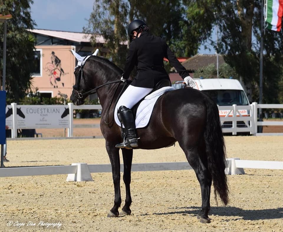 Dressage — Emozioni Equestri, fotografia 70