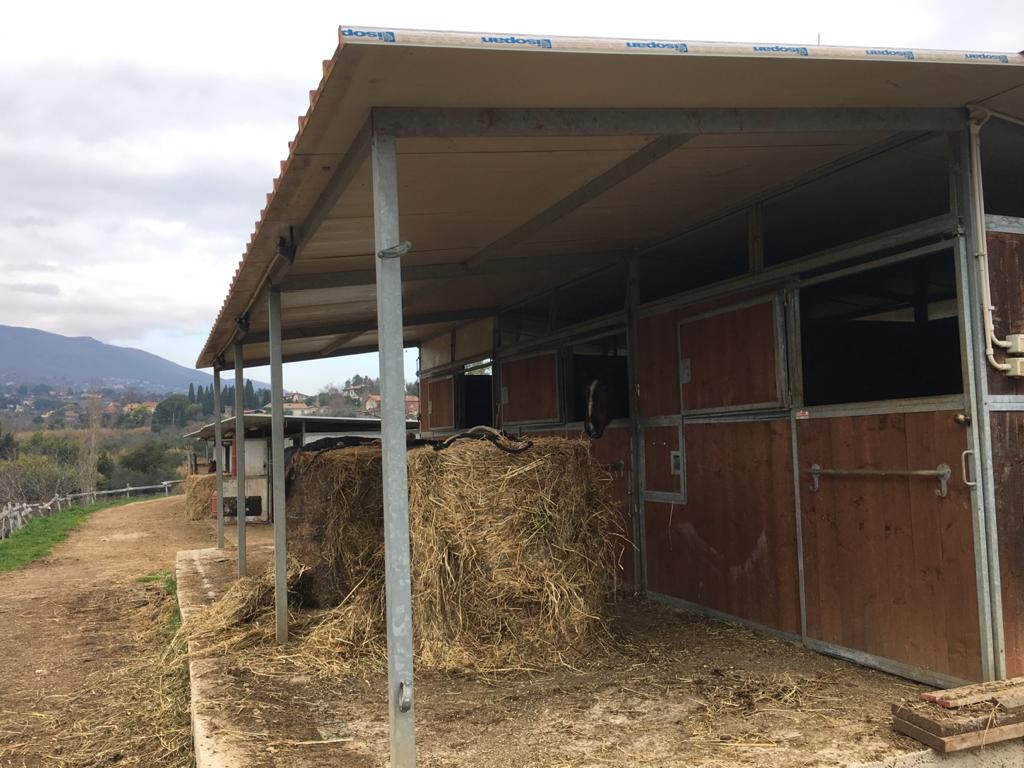 Il centro — Emozioni Equestri, fotografia 43