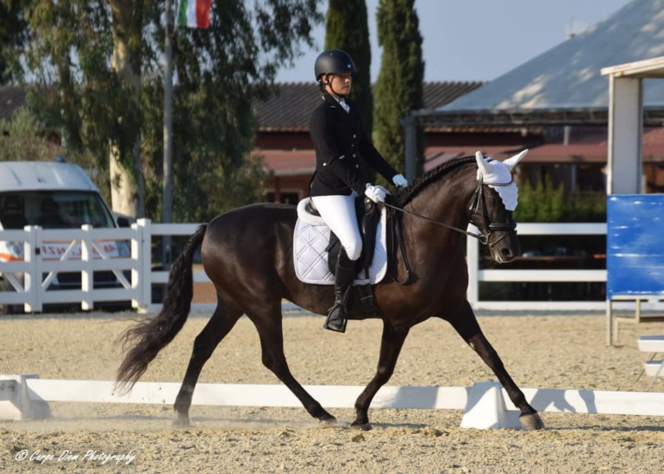 Dressage — Emozioni Equestri, fotografia 82
