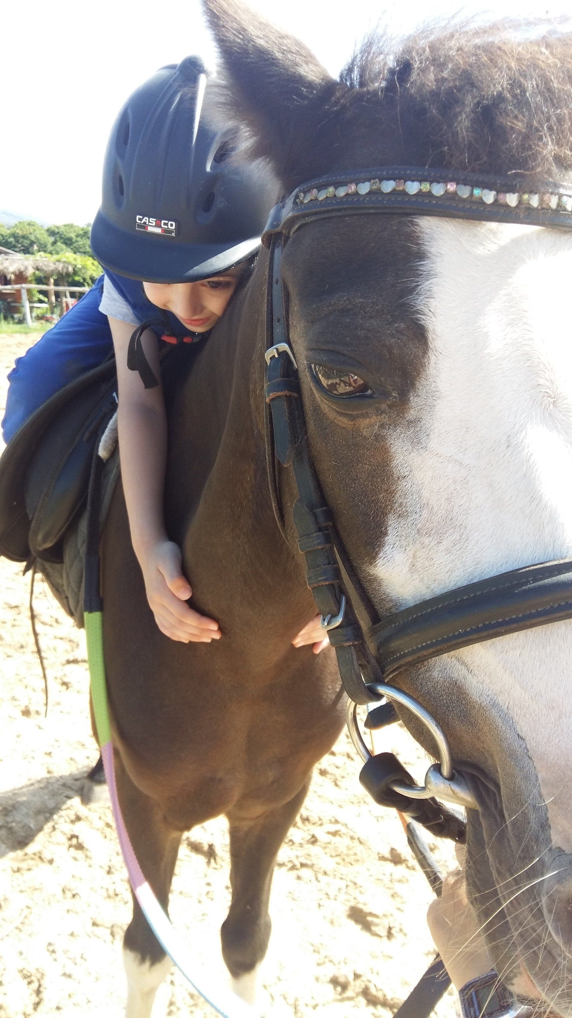 La scuola — Emozioni Equestri, fotografia 74