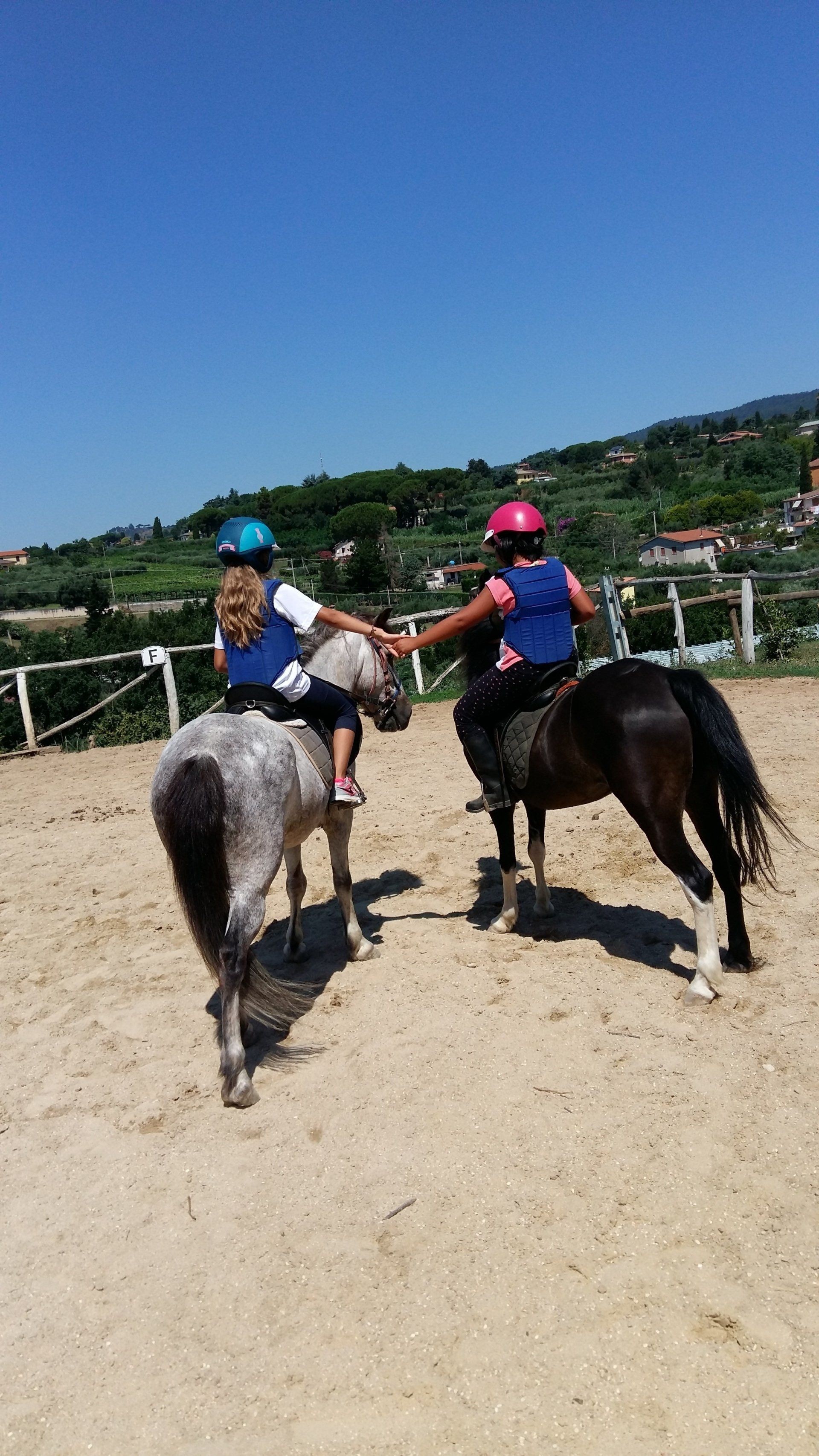 La scuola — Emozioni Equestri, fotografia 75
