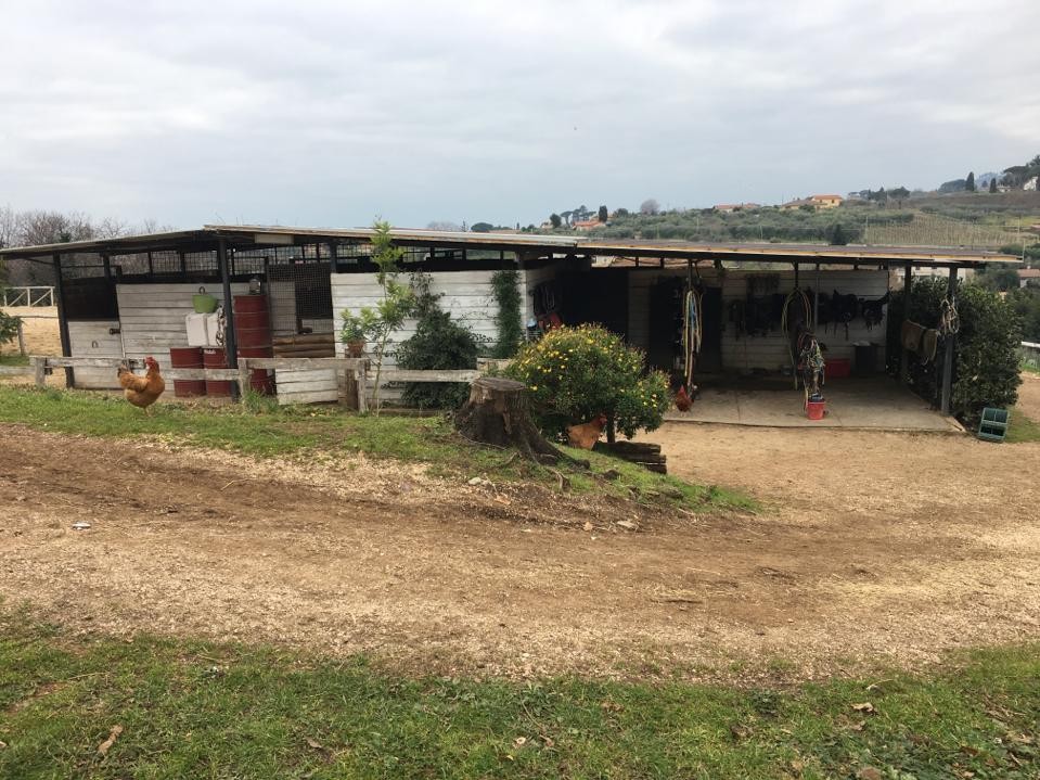 Il centro — Emozioni Equestri, fotografia 46