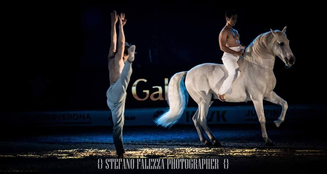 Spettacoli equestri a Emozioni Equestri