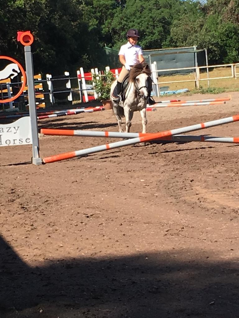 Agonismo al Club Ippico Emozioni Equestri