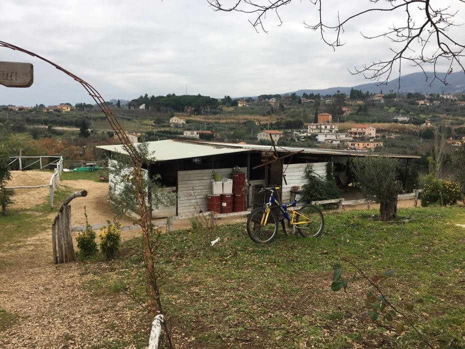 Il centro — Emozioni Equestri, fotografia 52