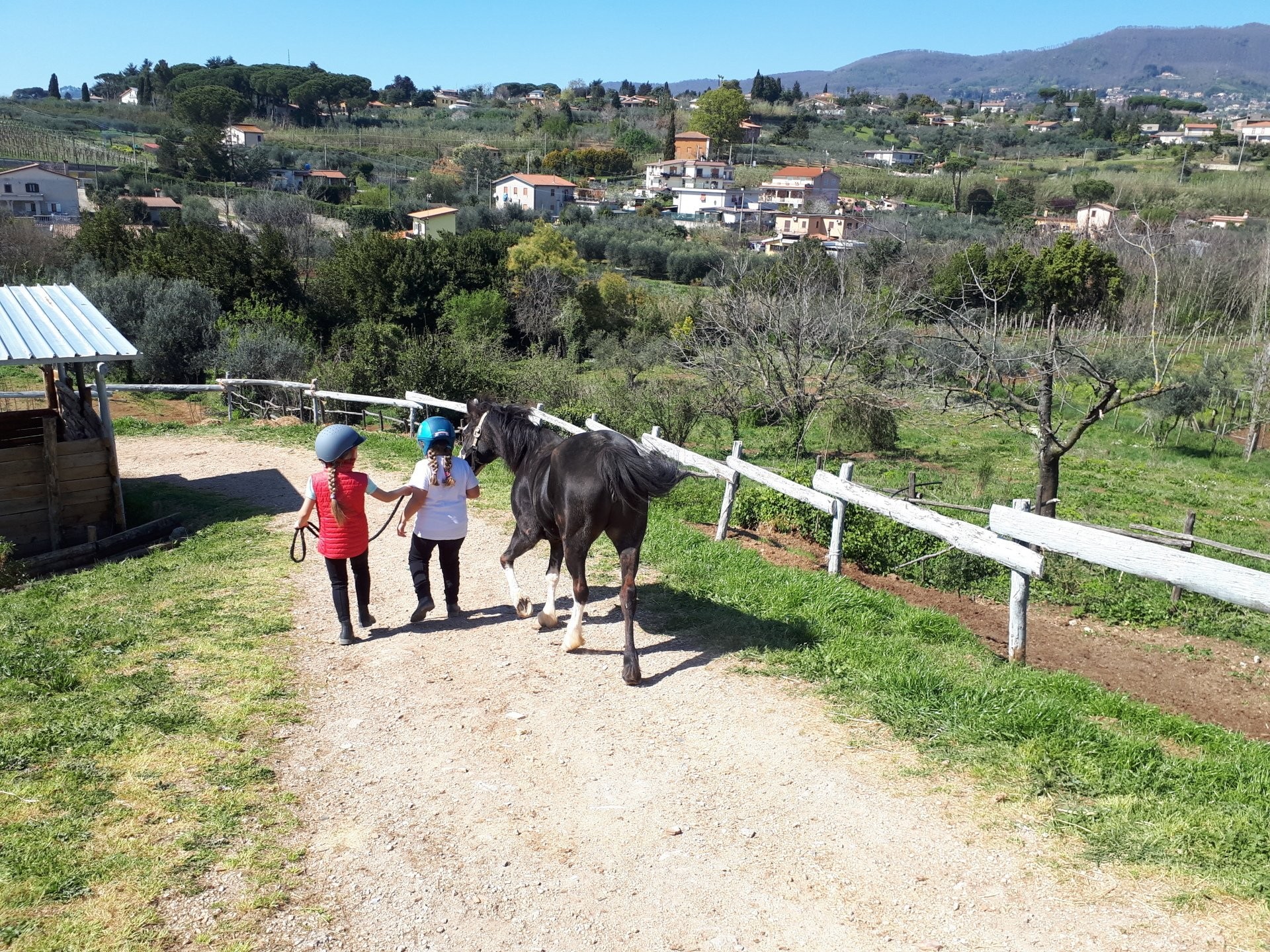 Scuola di equitazione a Emozioni Equestri