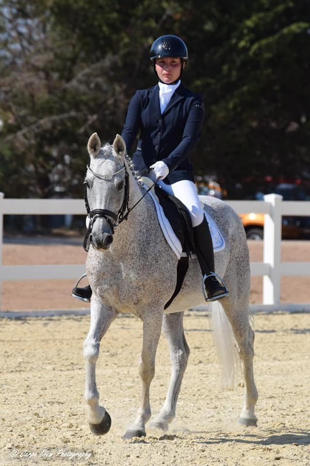 Dressage — Emozioni Equestri, fotografia 61
