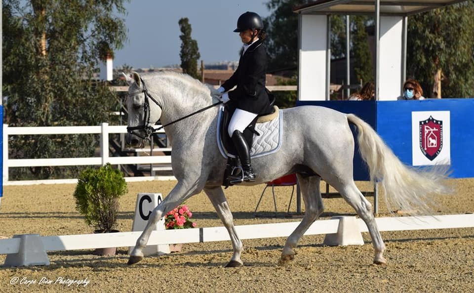 Dressage — Emozioni Equestri, fotografia 81