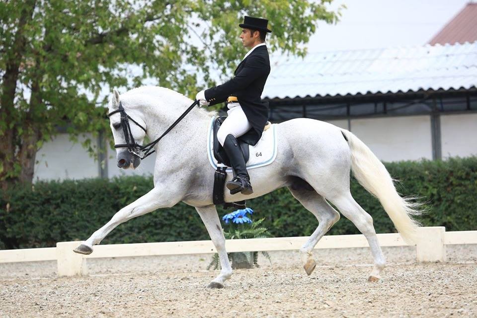 Il lavoro in sella a Emozioni Equestri