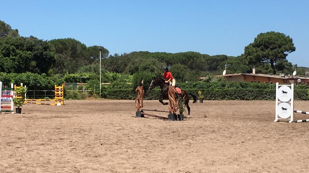 Dressage — Emozioni Equestri, fotografia 13