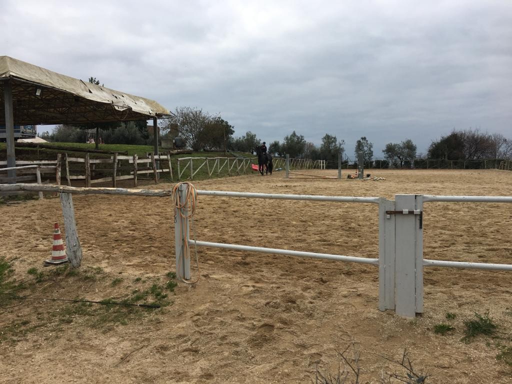 Il centro — Emozioni Equestri, fotografia 49