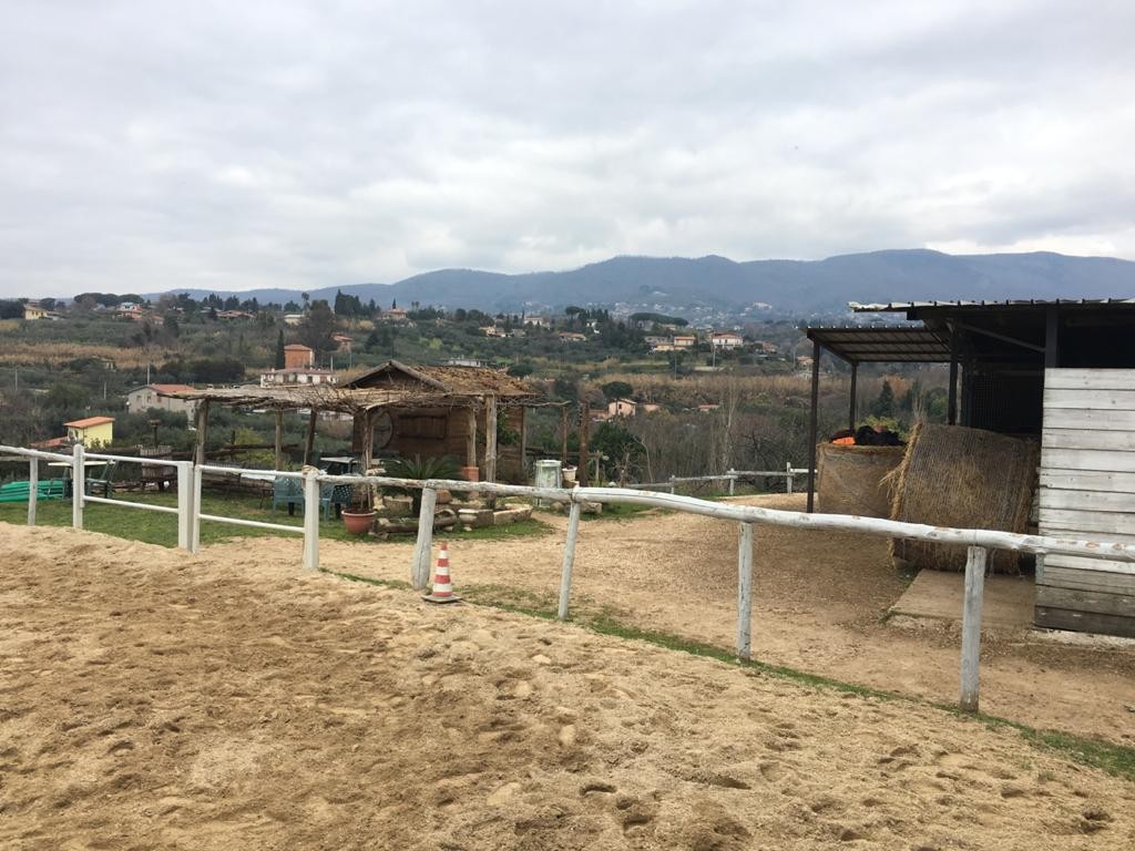 Il centro — Emozioni Equestri, fotografia 40